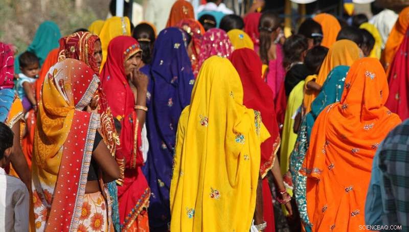 Report Highlights Slow Progress in Gender-Disaggregated Data Publication