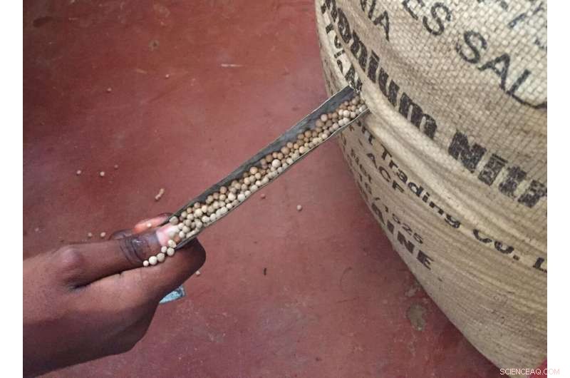 Tanzanian Farmers Question Fertilizer Quality, Show Reluctance to Pay