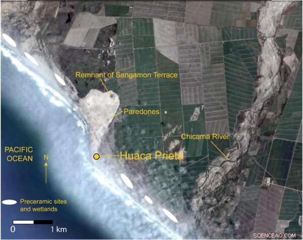 Ancient Teeth Reveal How Early Societies Developed Complex Social Structures