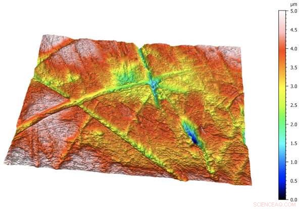 Ancient Teeth Reveal How Early Societies Developed Complex Social Structures