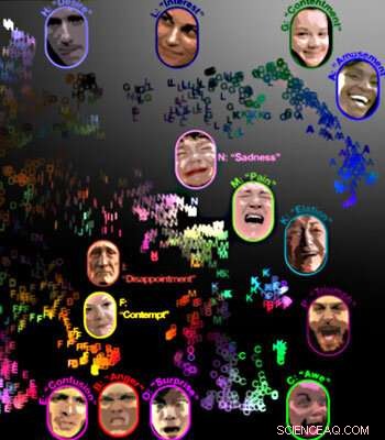 16 Universal Facial Expressions: How Emotions Cross Borders