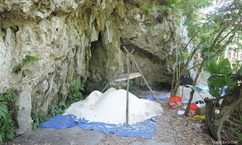 Ancient DNA Reveals Early Settlement Patterns in the Mariana Islands