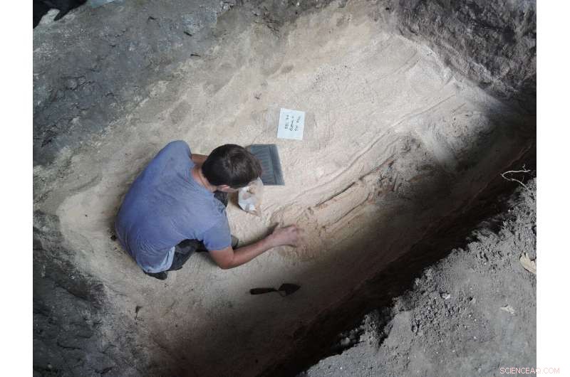 Ancient DNA Reveals Early Settlement Patterns in the Mariana Islands