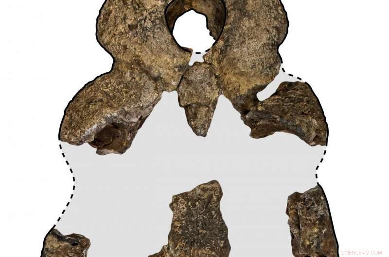 Researchers Unveil 5‑Meter Prehistoric Croc Species in Southeast Queensland