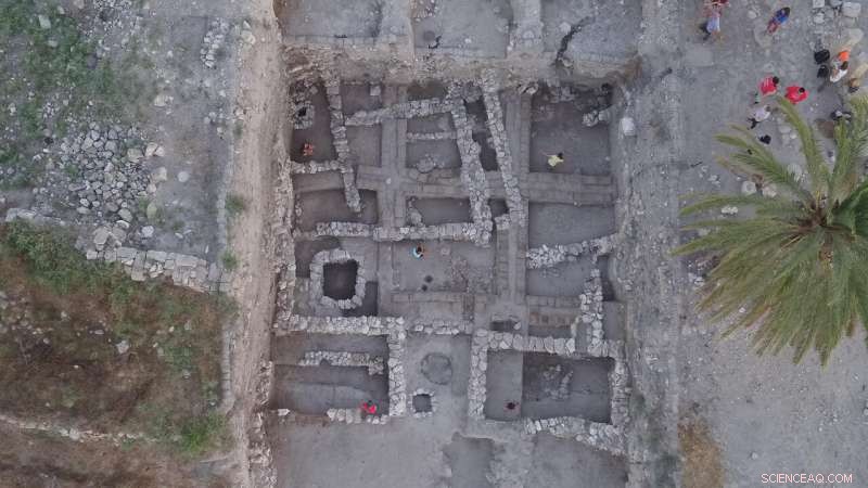 Bronze Age Megiddo Finds Reveal South Asian Spices and Bananas Reached the Mediterranean Over 3,000 Years Ago