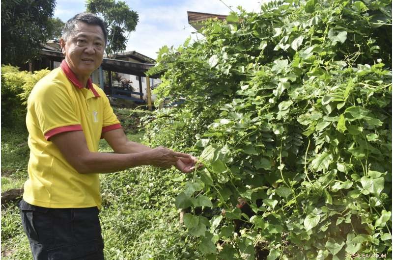 Pacific Islands Strengthen Food Resilience Amid Pandemic Challenges
