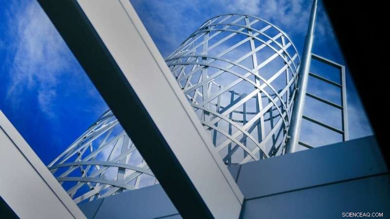 New Study Reveals How Diversity Fuels Innovation in the Global Pulp and Paper Sector