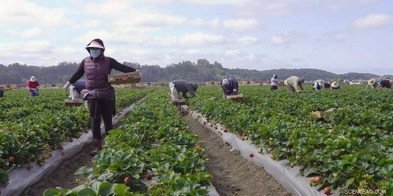 Pandemic Highlights Europe s Reliance on Migrant Labor