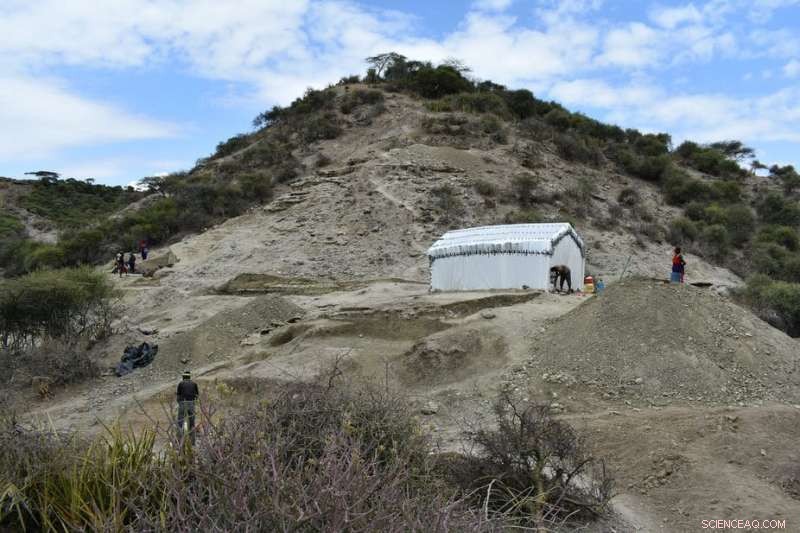 New Findings in Tanzania’s Olduvai Gorge Reveal How Ancient Humans Adapted to Environmental Change
