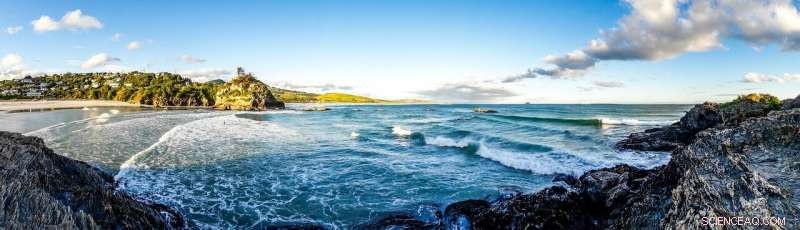 COVID-19 Drives Surge in Trust for Government and Science in New Zealand