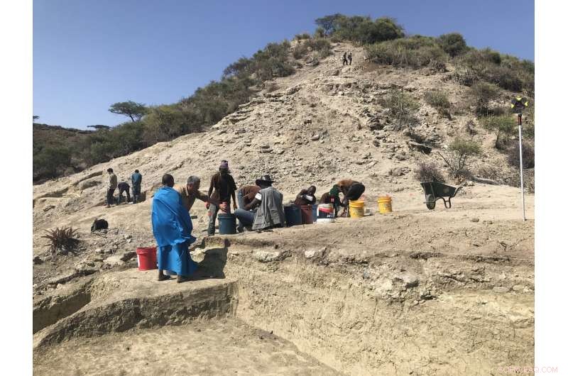 Oldest Hominins in Olduvai Gorge Demonstrate Resilience to Changing Environments