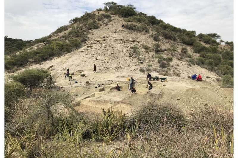 Oldest Hominins in Olduvai Gorge Demonstrate Resilience to Changing Environments