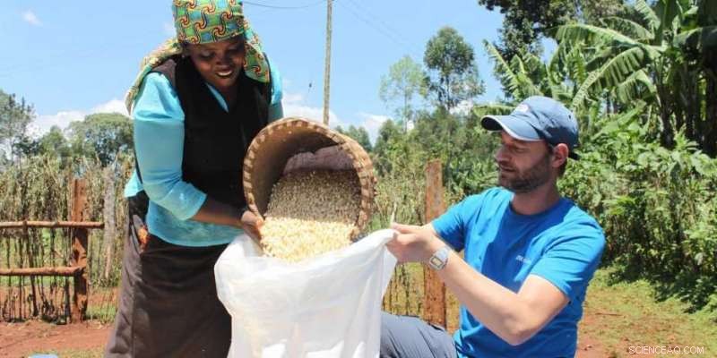 Hermetic Grain Bags Reduce Postharvest Losses, Strengthening Food Security Amid COVID-19
