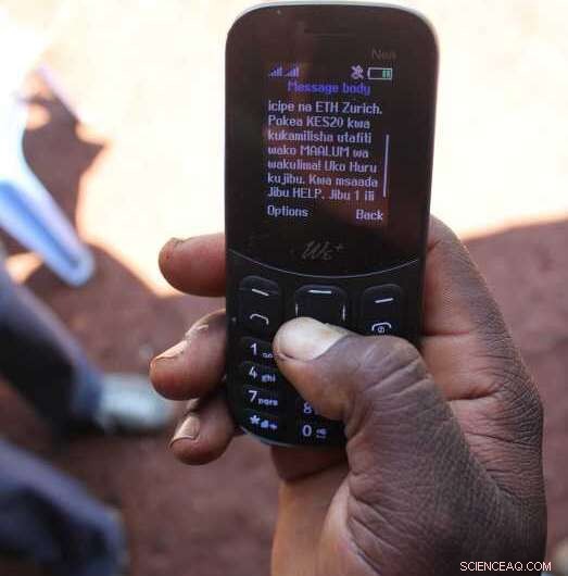 Hermetic Grain Bags Reduce Postharvest Losses, Strengthening Food Security Amid COVID-19