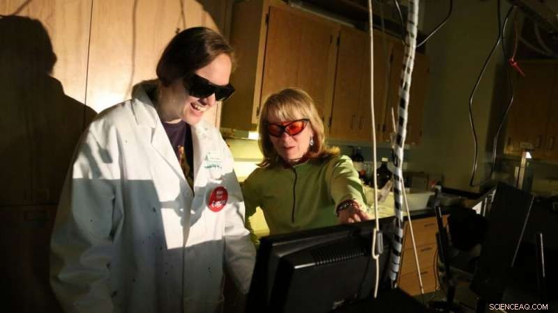 New Study Reveals Key Barriers Facing Women and Minority Chemists