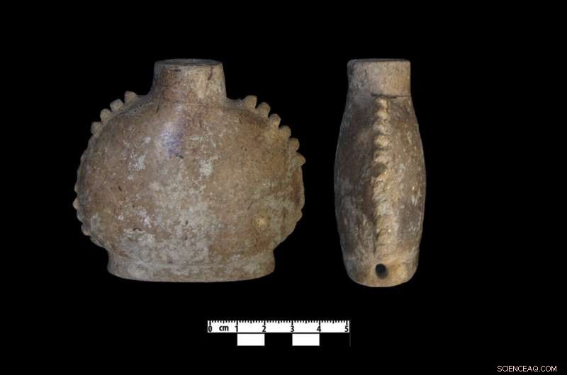 WSU Researchers Discover Mexican Marigold in Ancient Maya Drug Containers