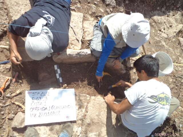 WSU Researchers Discover Mexican Marigold in Ancient Maya Drug Containers