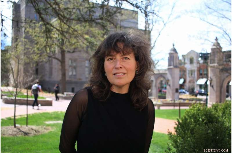 Surveys Show Many Americans Hold False Beliefs About Election Validity