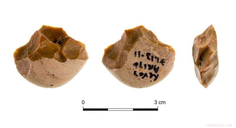 Flint Chopping Tools Unveiled: How Early Humans Broke Bones and Harvested Bone Marrow at Revadim