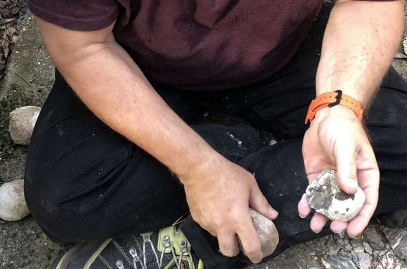 Flint Chopping Tools Unveiled: How Early Humans Broke Bones and Harvested Bone Marrow at Revadim