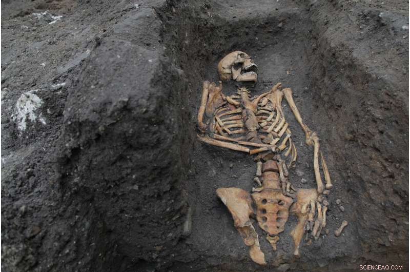 New Study Reveals Social Inequality in Medieval Cambridge Through Human Bones