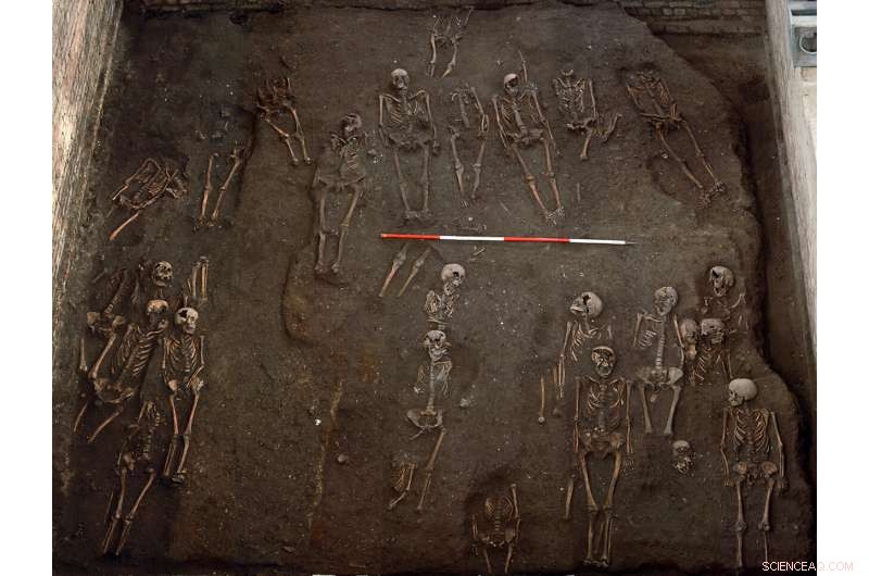 New Study Reveals Social Inequality in Medieval Cambridge Through Human Bones