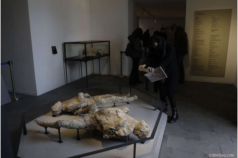 Pompeii’s Museum Reopens, Showcasing Stunning New Discoveries