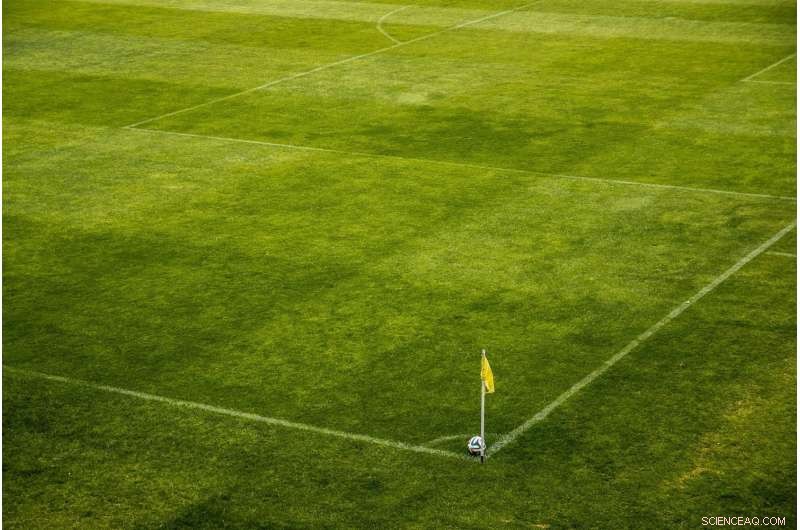 Fewer On-Field Conflicts When Fans Are Absent: Evidence from FC Red Bull Salzburg Games