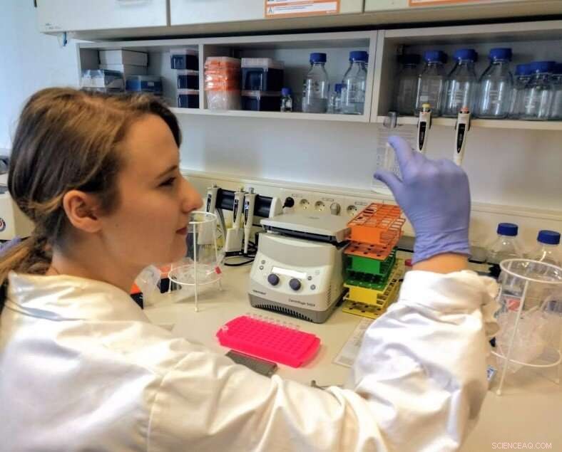 Ancient Proteins Reveal Early Milk Drinking Practices Across Africa