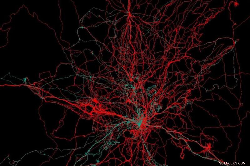 Gender Differences in Spatial Navigation: Insights from Hadza Camp Relocation