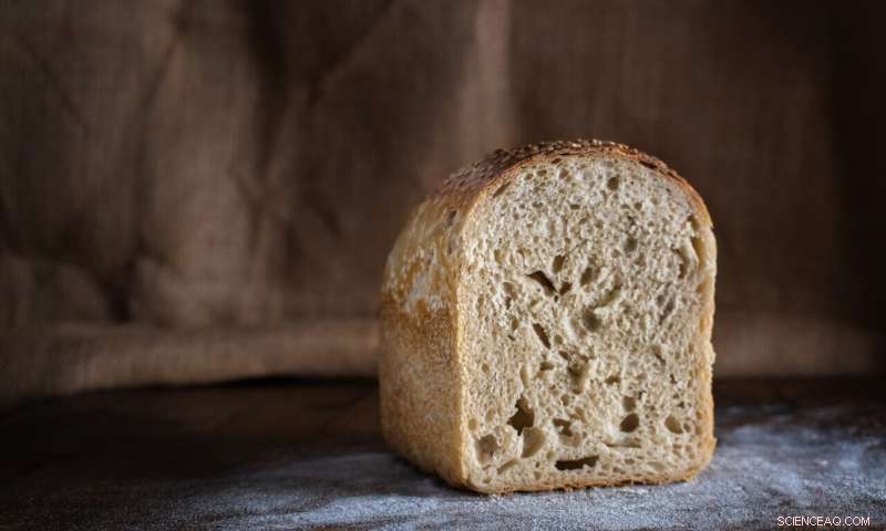 Export Restrictions by Key Nations Could Trigger Global Food Price Surges