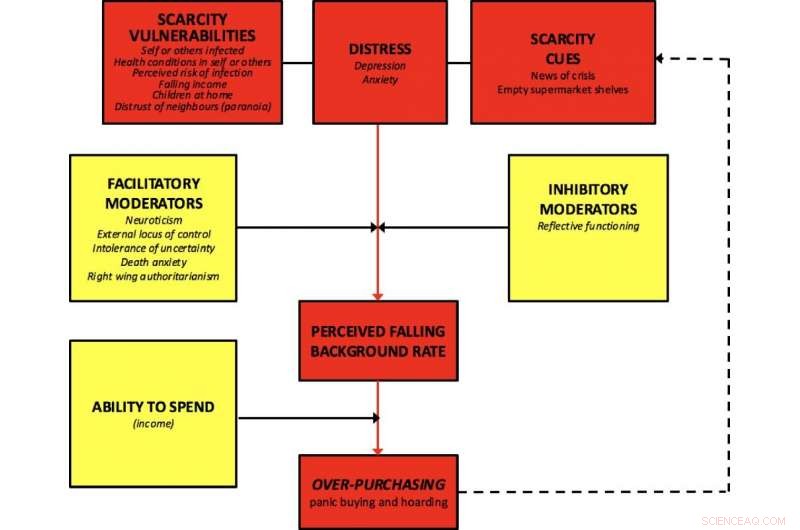 New Psychological Model Predicts Panic Buying in Crisis Situations