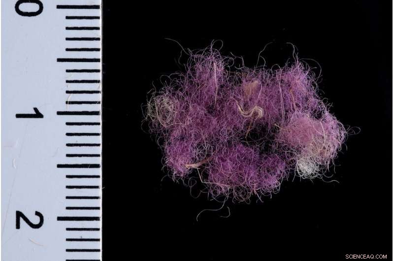 Discover the Luxurious Attire of King David and King Solomon – A 3,000-Year-Old Fashion Revelation