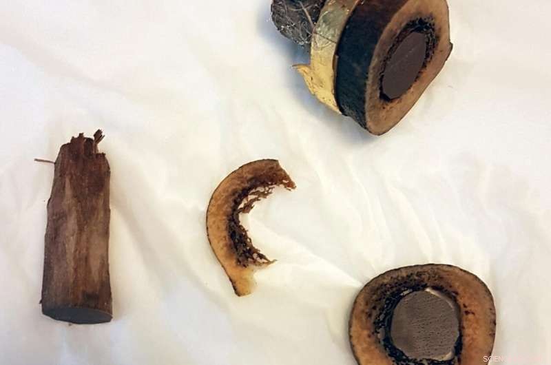 Scientific Study of the Presumed Remains of Apostles St. Philip and St. James the Younger