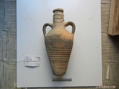 Ancient Amphorae Reveal a Thriving Wine Trade in Islamic Sicily