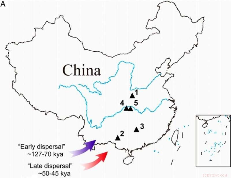 New DNA Analysis Revises Age of Chinese Fossil Teeth to 16,000 Years