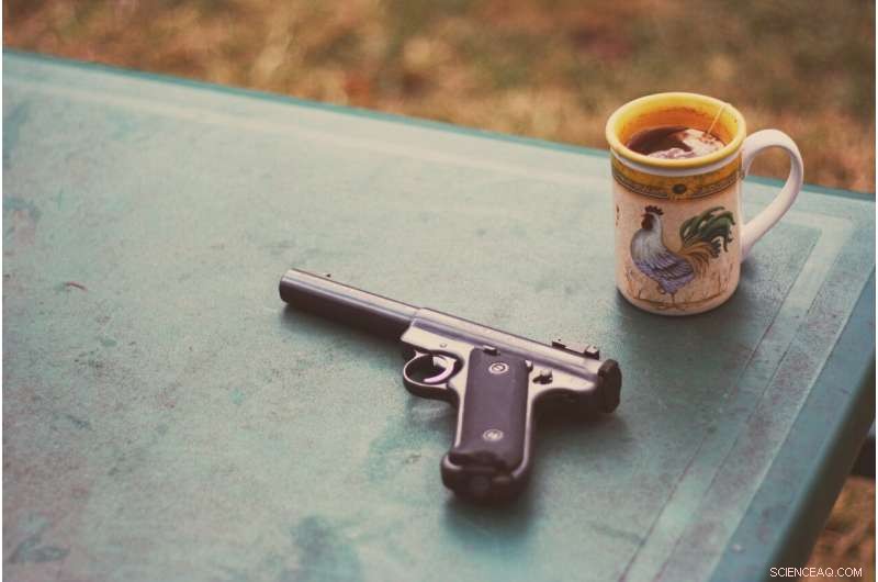 Survey Uncovers Varied Reasons for U.S. Gun Ownership