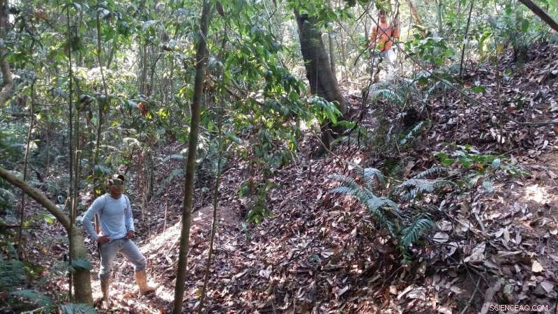 Ancient Amazonian Farmers Built Fortifications to Safeguard Their Cultivated Lands