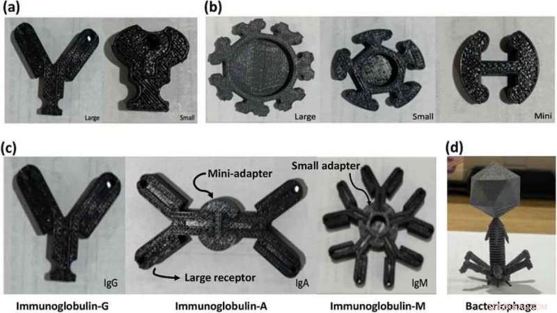 Study Reveals How 3‑D Printed Models Enhance Student Learning