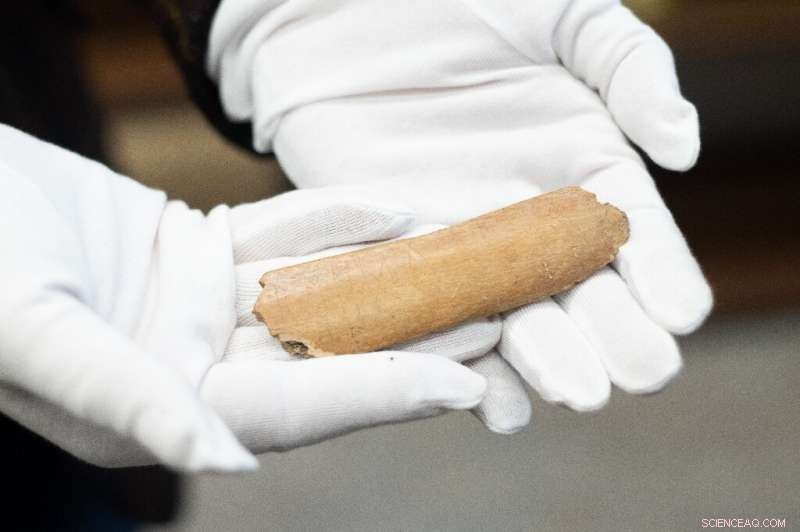 7th-Century Cow Bone Uncovers Early Germanic Runes in Slavic History