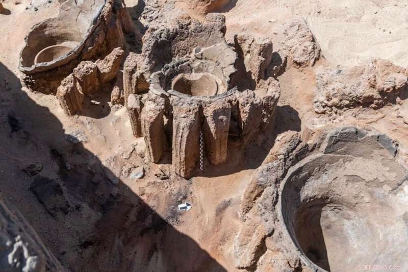 Egypt Discovers World’s Oldest Mass‑Production Brewery
