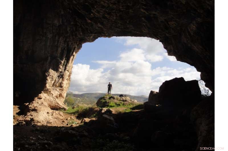 Neanderthals and Homo sapiens Shared Nubian Levallois Technology, Redefining Ancient Tool Use