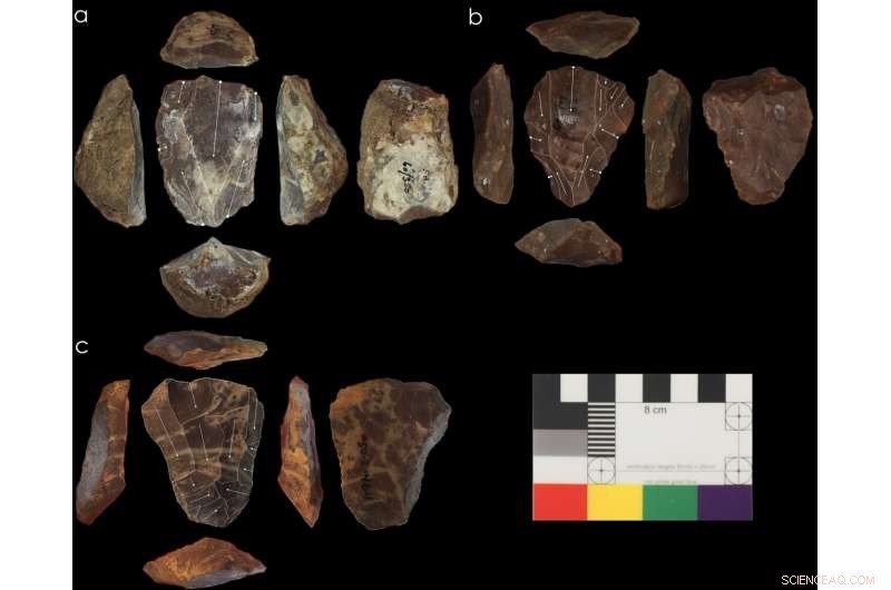 Neanderthals and Homo sapiens Shared Nubian Levallois Technology, Redefining Ancient Tool Use