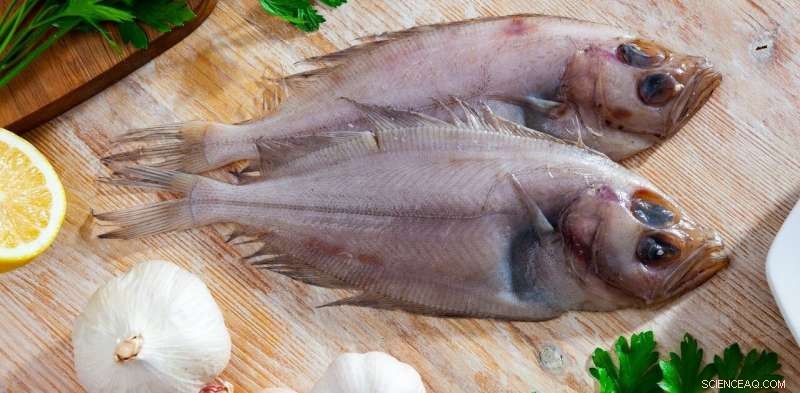 Rebranding Coastal Seafood: Renaming Megrim Sole and Spider Crab for Local Appeal