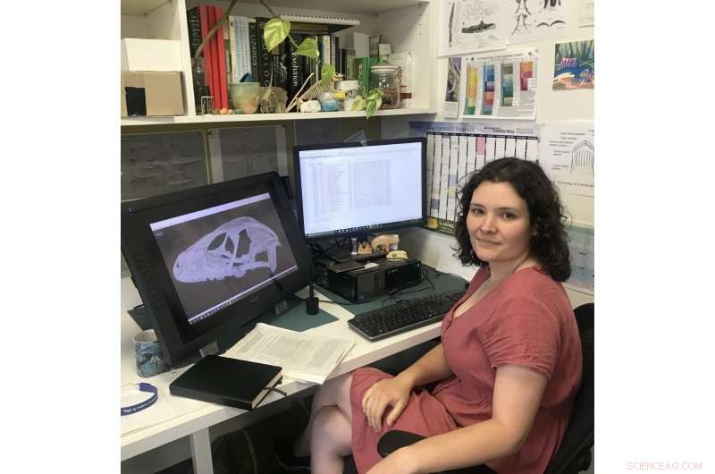 New Australian Fossil Lizard Unveiled: A Key to Reptile Evolution