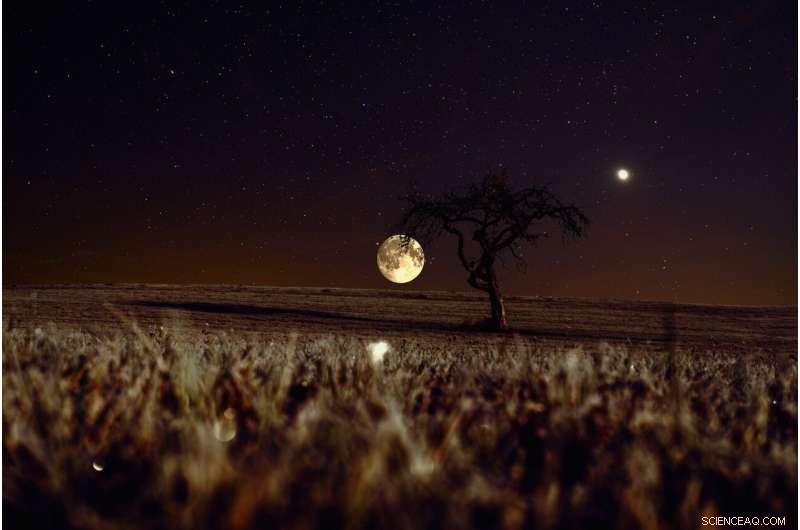 Scientific Review Debunks Moon Myth in Agriculture: New Study Confirms No Lunar Effect