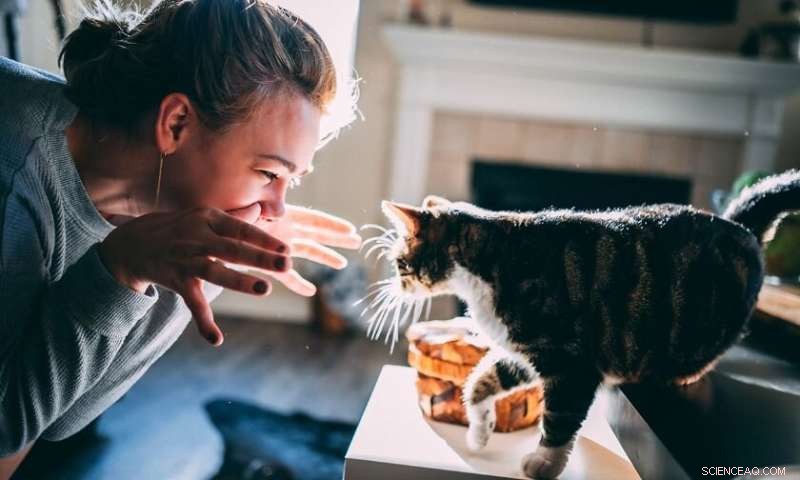 Pet-Friendly Housing: A Win-Win for Tenants & Landlords