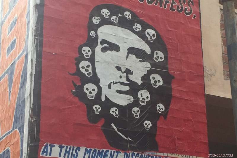 Fight or Flight: What Drives Our Responses to Violence