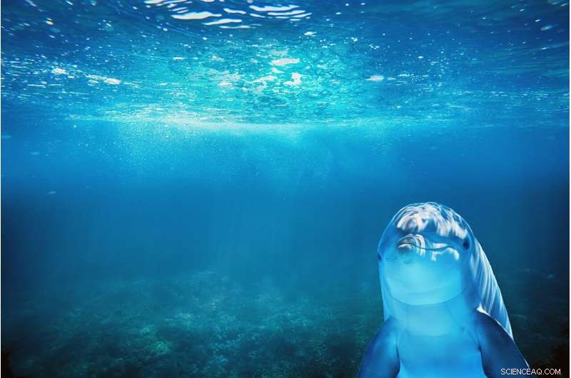 How Recognition, Belief, and Emotion Fuel the Viral Spread of Disinformation