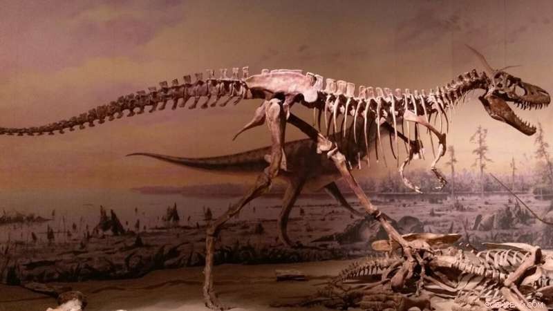 Did Juvenile Tyrannosaurus REX Outcompete Other Dinosaurs?